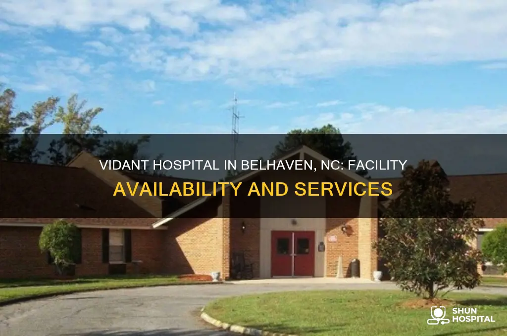 does vidant hospital have a facility in belhaven nc