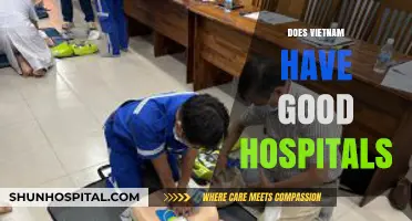 Exploring Vietnam's Healthcare: Are Its Hospitals Up to Global Standards?