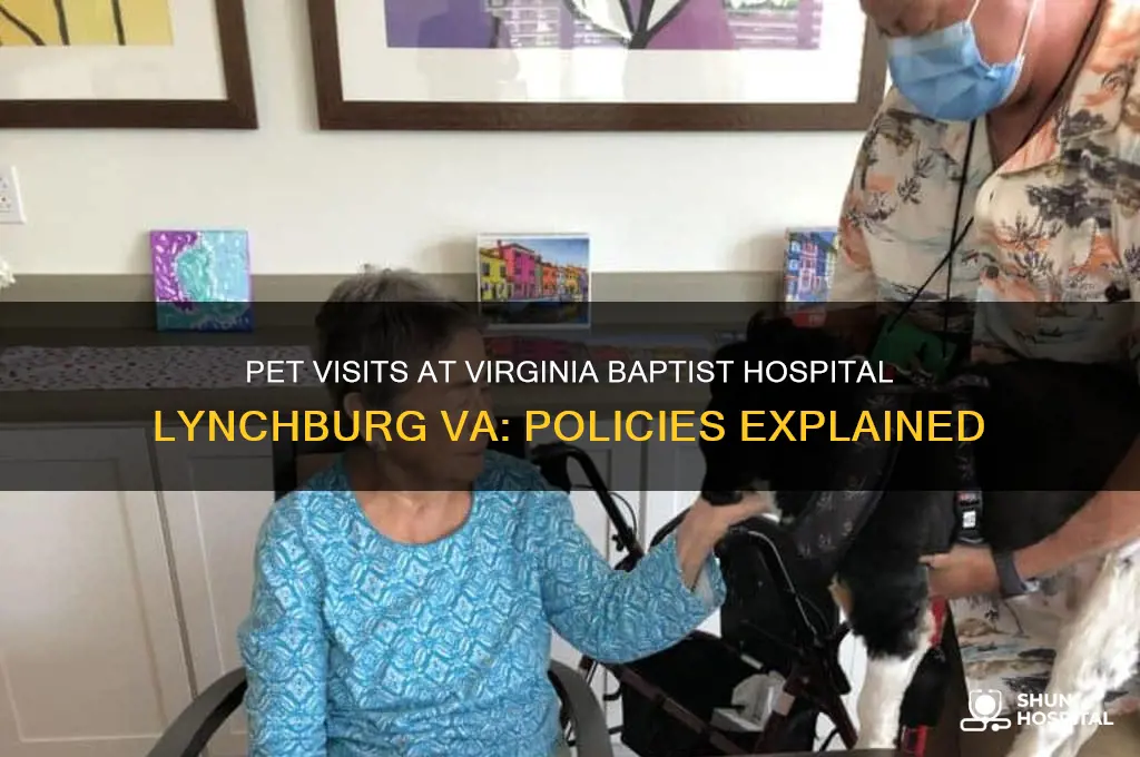 does virginia baptist hospital lynchburg va allow pet visits