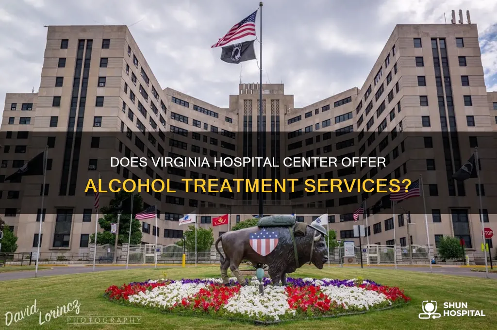 does virginia hospital center have an acohol treatment center