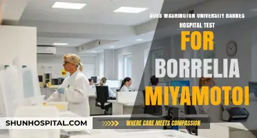 Does Washington University Barnes Hospital Test for Borrelia Miyamotoi?