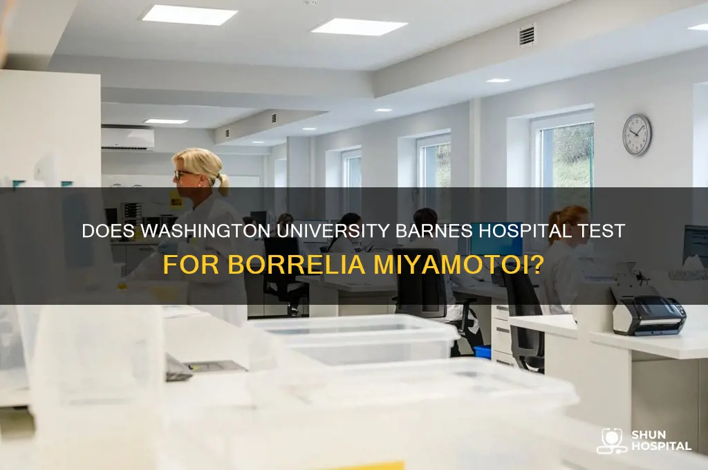 does washington university barnes hospital test for borrelia miyamotoi