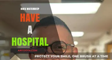 Exploring Waterdeep's Healthcare: Does the City Have a Hospital?