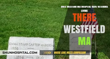 Veterans at Western MA Hospital: Westfield's Resident Heroes Revealed
