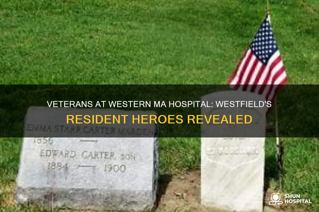 does western ma hospital have veterans living there westfield ma