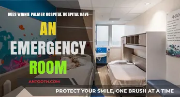 Winnie Palmer Hospital: Emergency Room Availability Explained