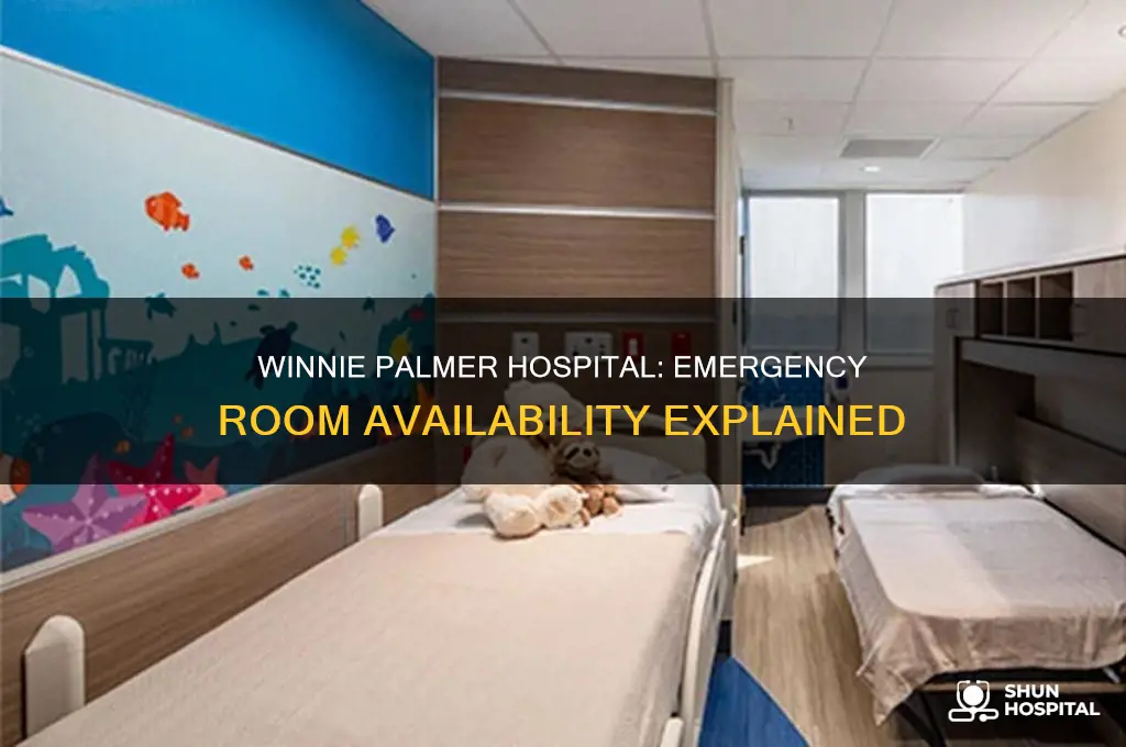 does winnie palmer hospital hospital have an emergency room