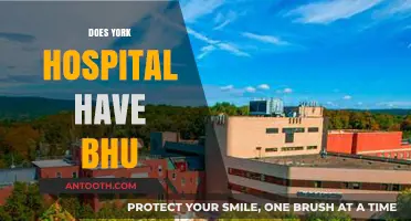 Does York Hospital Have BHU? Exploring Healthcare Services in York