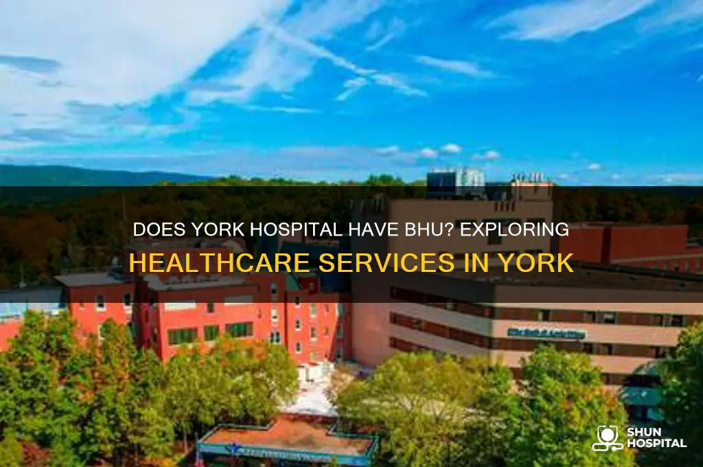 does york hospital have bhu