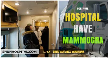 Does York Hospital Offer Mammograms? Essential Information for Patients