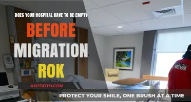 Hospital Migration: Must Beds Be Empty Before ROK Transition?