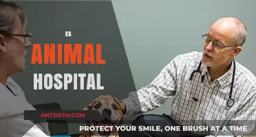 Compassionate Care at ES Animal Hospital: Your Pet's Health Partner
