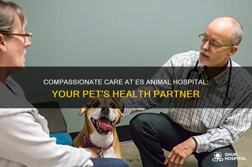 es animal hospital