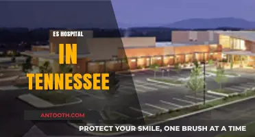 Exploring ES Hospital: Tennessee's Premier Healthcare Destination and Services