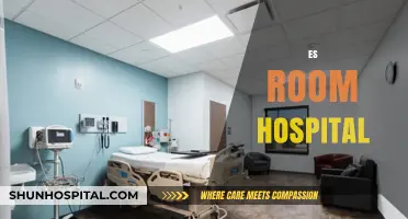 Transforming ES Room Hospital Care: Innovations, Challenges, and Patient-Centric Solutions