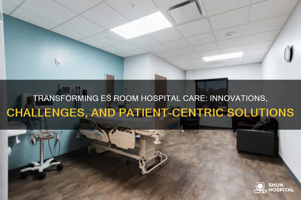 es room hospital
