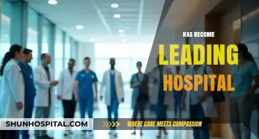 Rising to Excellence: How Our Hospital Became a Leading Healthcare Provider