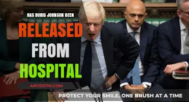 Boris Johnson Discharged from Hospital: What We Know So Far