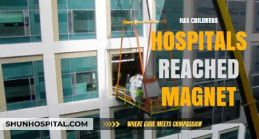 Have Children's Hospitals Achieved Magnet Status: Progress and Challenges