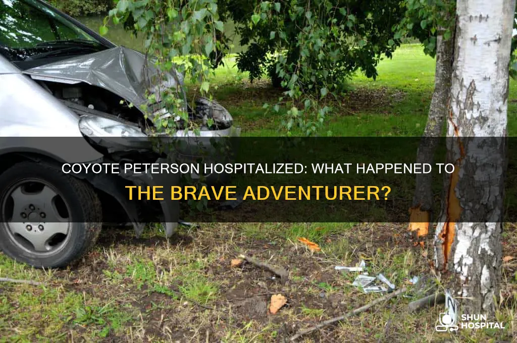 has coyote peterson been hospitalized