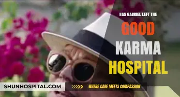 The Good Karma Hospital: Gabriel's Departure Explained