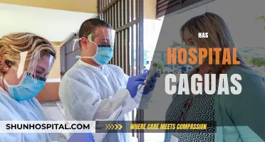 Exploring Healthcare Services: Has Hospital Caguas Met Community Needs?