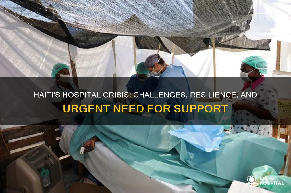 has hospital haiti
