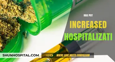Has Cannabis Legalization Led to More Hospitalizations?