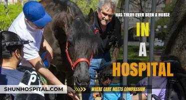 Horses in Hospitals: Uncommon Visits and Their Unique Purposes
