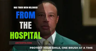 Tiger Woods Released from Hospital: What We Know