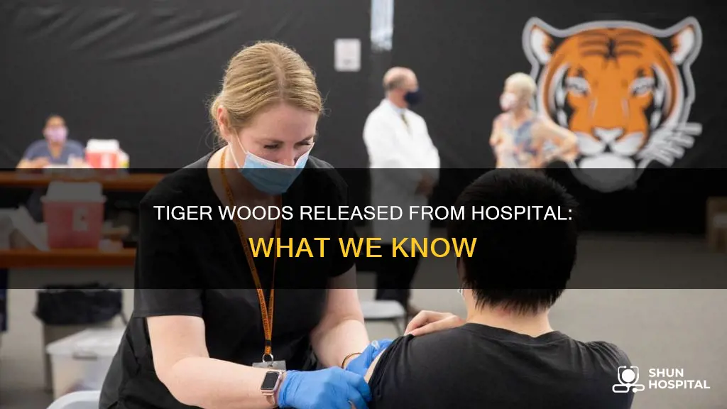 has tiger been released from the hospital