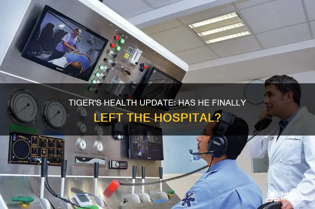 has tiger left the hospital