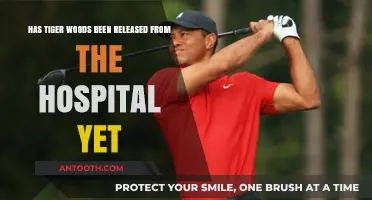 Tiger Woods Hospital Release Update: What We Know So Far