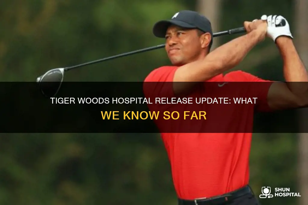 has tiger woods been released from the hospital yet