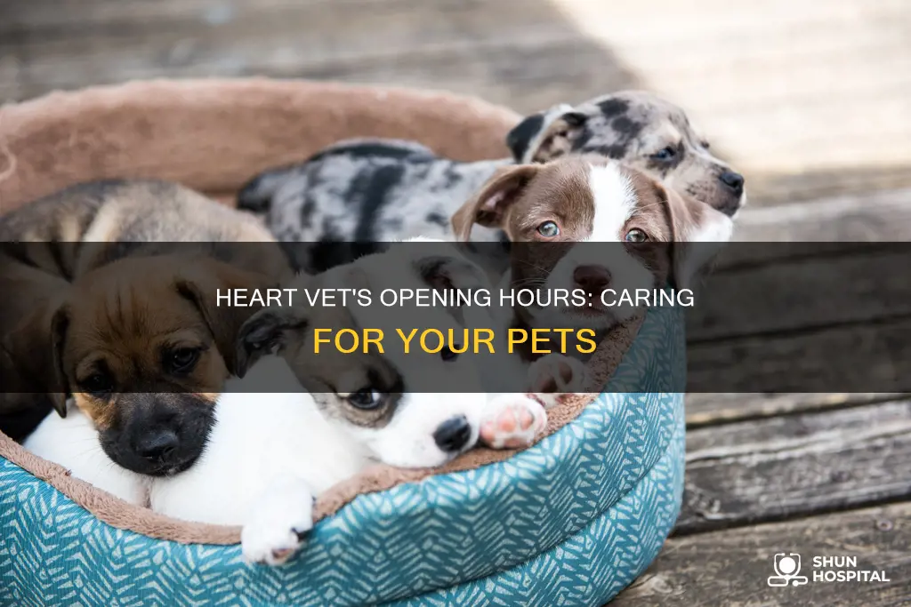 have a heart animal hospital business hours