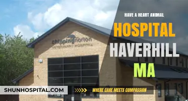 Animal Hospital in Haverhill, MA: Have a Heart