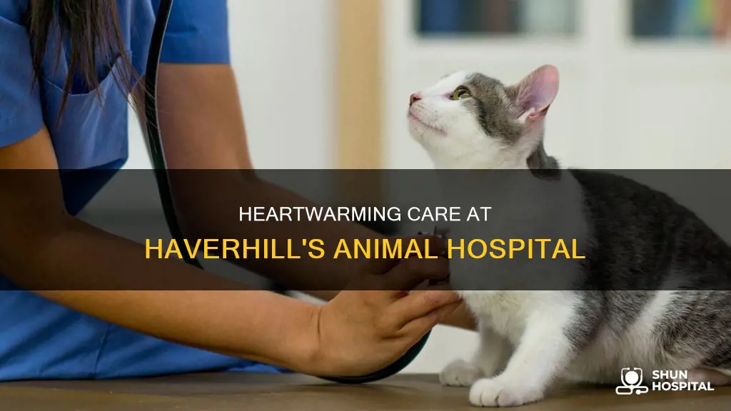 have a heart animal hospital haverhill mass