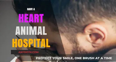 Compassionate Care at Have a Heart Animal Hospital: Your Pet's Health Haven