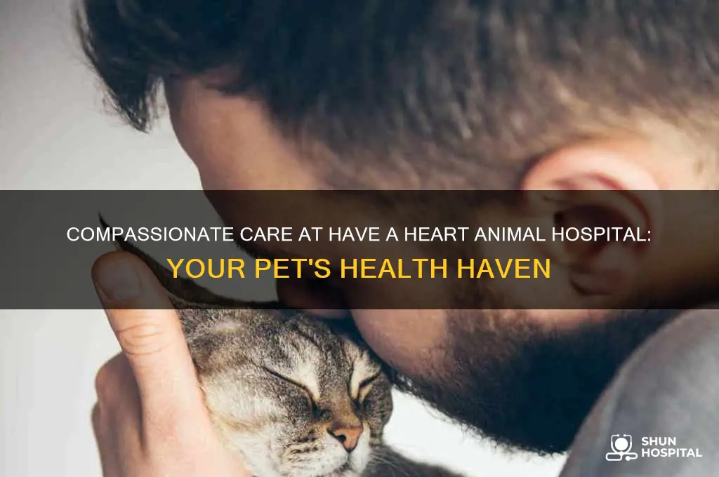 have a heart animal hospital