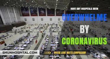 Hospitals' Response to COVID-19: Overwhelmed or Adaptable?