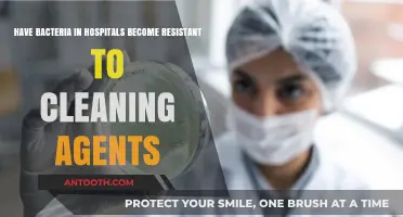 Hospital Bacteria Resistance: Are Cleaning Agents Losing Their Effectiveness?