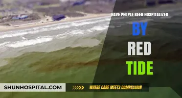 Red Tide: A Hospitalization Concern or Not?