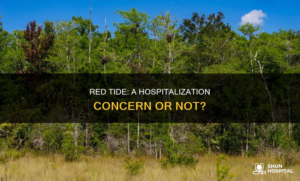 have people been hospitalized by red tide