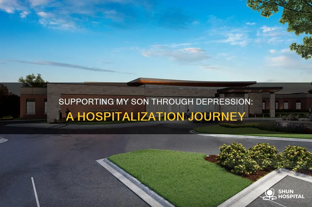 have son hospitalized for depression