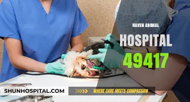 Haven Animal Hospital 49417: Compassionate Care for Your Pets