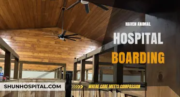 Haven Animal Hospital: Your Pet's Home Away from Home