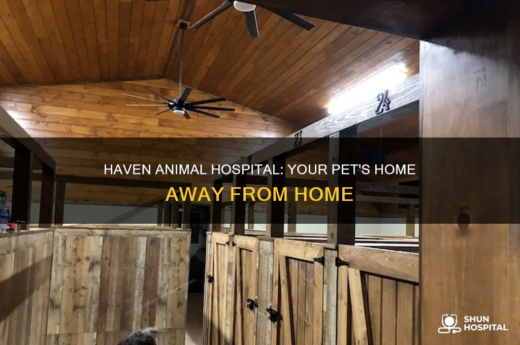 haven animal hospital boarding