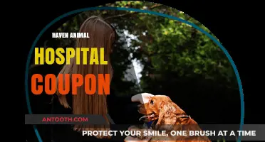 Save Big on Pet Care with Haven Animal Hospital Coupons