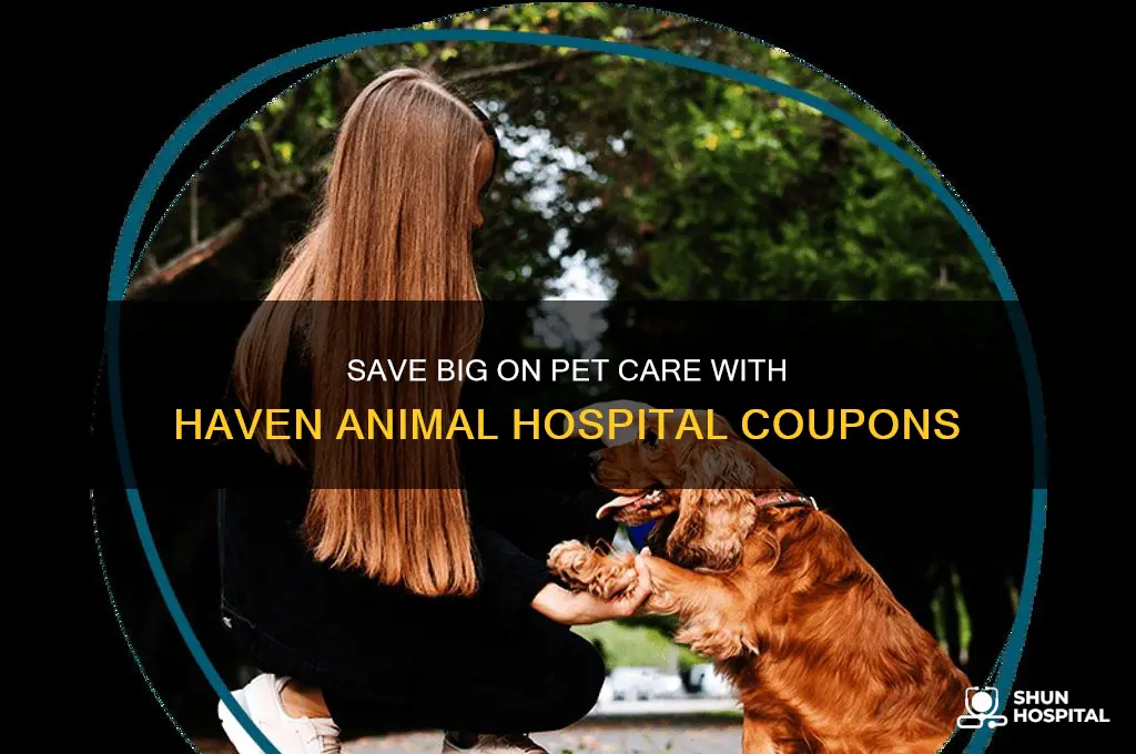 haven animal hospital coupon