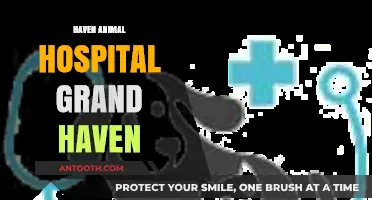 Haven Animal Hospital Grand Haven: Compassionate Care for Your Pets